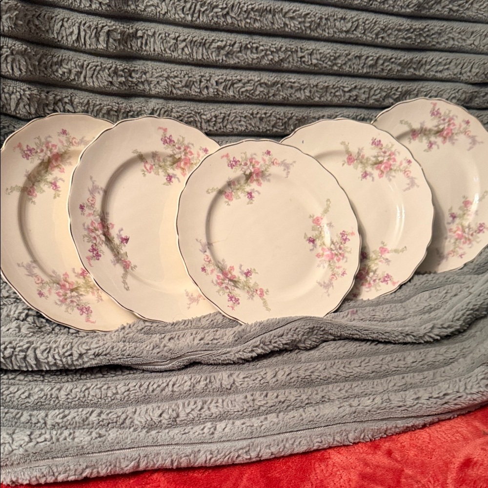 Classic Cream Porcelain Dinner Plates with Pink Floral Design, Set of 5